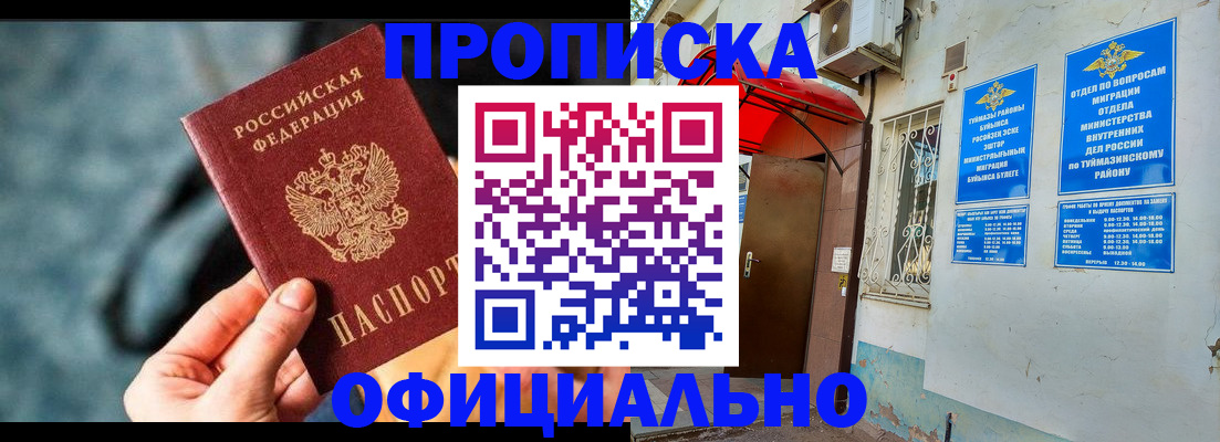 прописка 2025 в Павловске